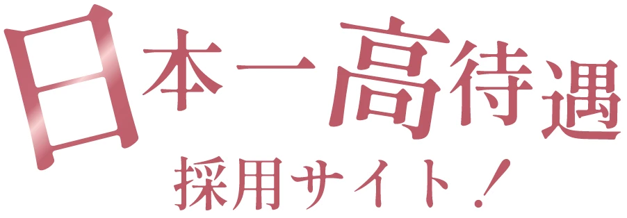 日本一高待遇採用サイト！